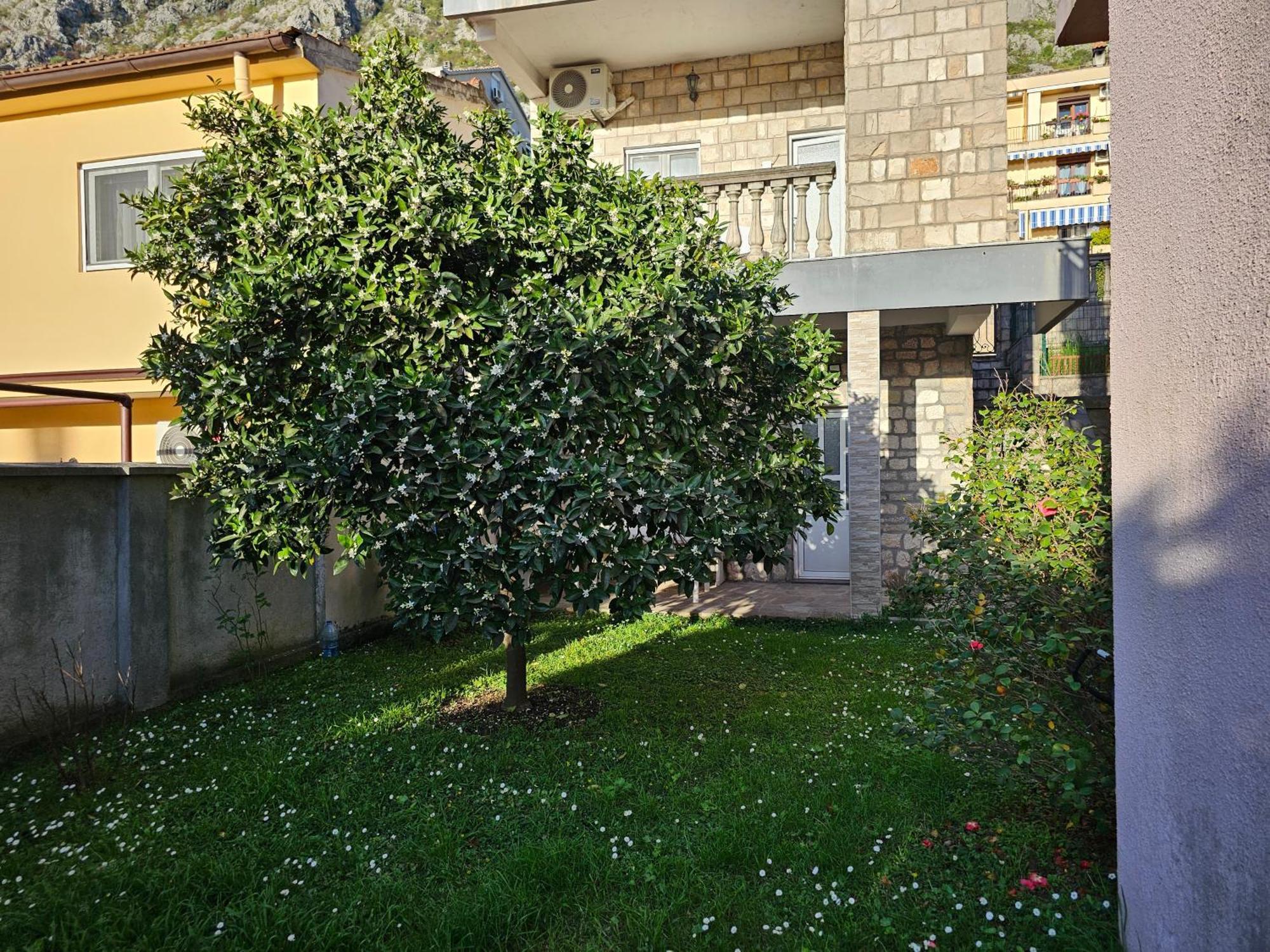 Modern Seaside Escape - Stunning Sea View - Private & Stylish Lägenhet Kotor Exteriör bild